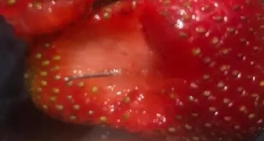 12-year-old girl admits to putting needles in strawberries