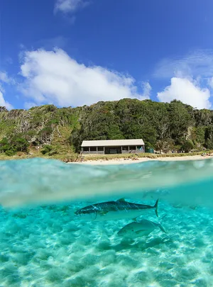 Capella lodge