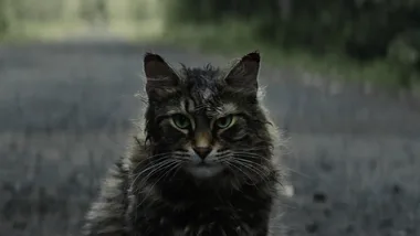 PET SEMATARY (Official Trailer)