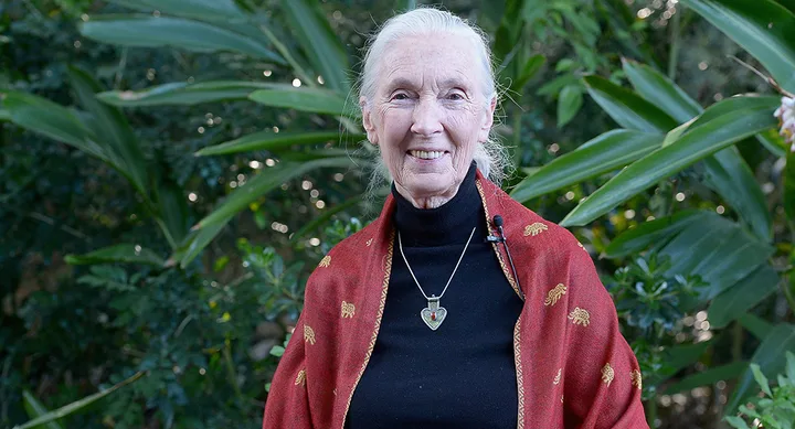 "Older woman smiling in a garden wearing a red shawl with gold patterns and a heart-shaped pendant."