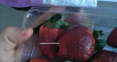 BREAKING NEWS: Needles in strawberries are back
