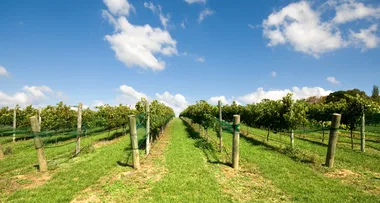 Bowral: where to stay