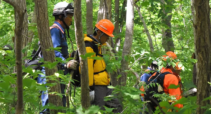 Rescue workers in helmets and gear navigate through a dense, green forest.