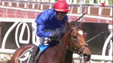 Cross Counter wins the Melbourne cup!