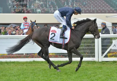 Stars’ outrage as Melbourne Cup rocked by awful tragedy