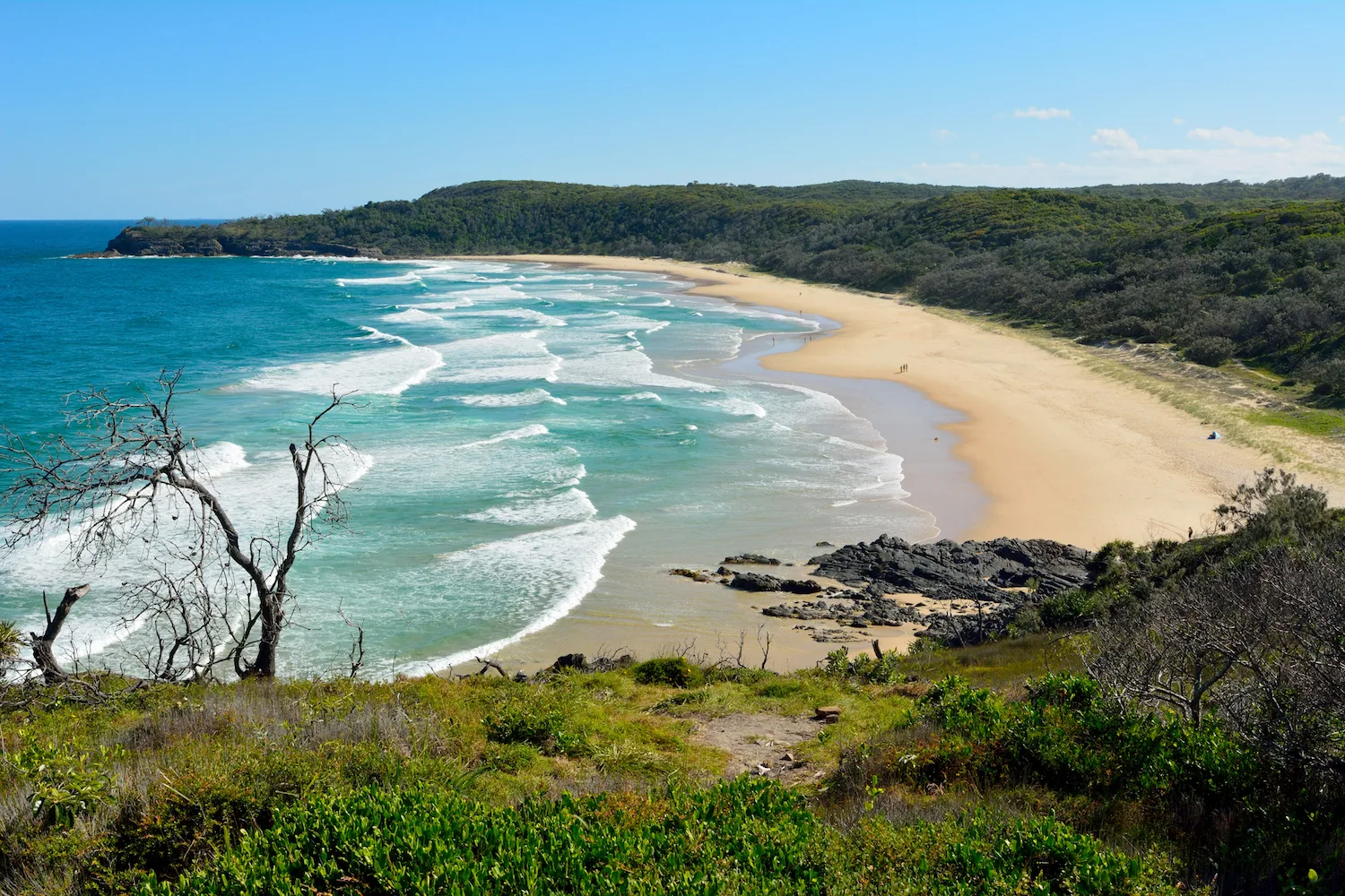 Nude Beach Australia Top 5 Nudist Beaches WHO Nude Beach Australia Top 5 Nudist Beaches WHO