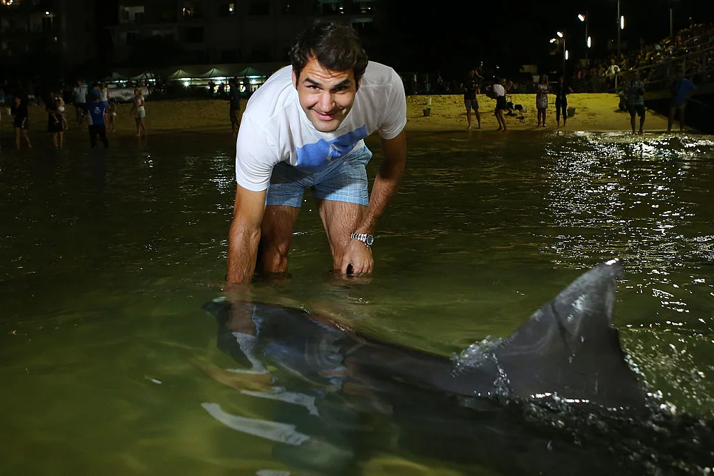 Even Roger Federer has fed the dolphins at Tangalooma!