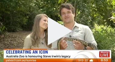 BREAKING: Bindi Irwin and Chandler Powell share engagement news on Sunrise