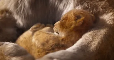 The Lion King First Official Teaser Trailer