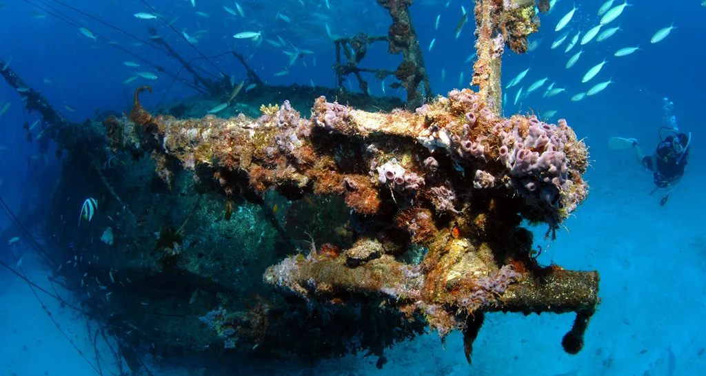 Lady Elliot Island shipwreck