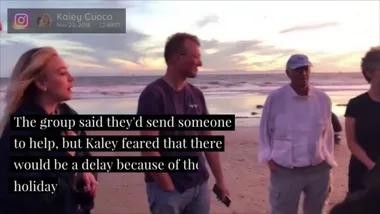 Kaley Cuoco Helps Rescue Baby Seal On Thanksgiving