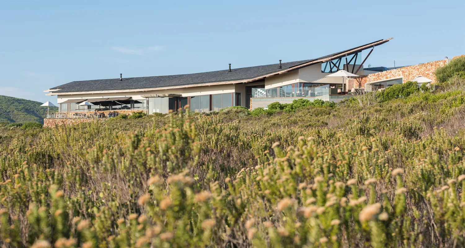 Sabi Sabi South Africa