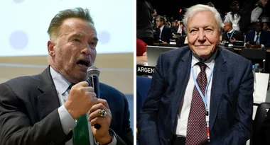 Arnold Schwzrtzenegger on Climate Change: ‘I wish I could go back in time’