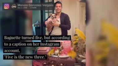 Sofia Vergara’s Granddog Had A Lavish Birthday