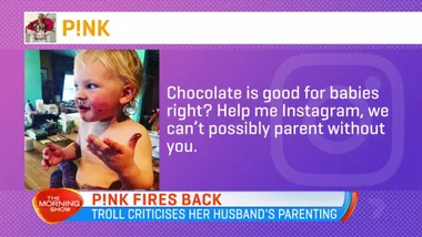P!nk hits back at troll on Instagram