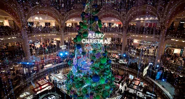 The best Christmas trees across the globe