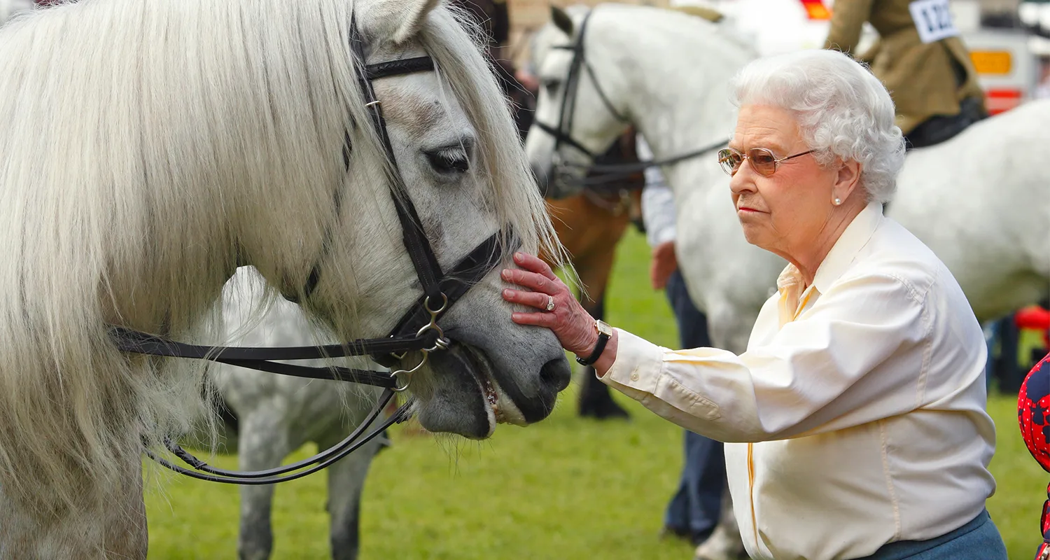 ‘Crowd Pleaser’ Horse Who Often Escorted Queen Elizabeth to Events Has Died