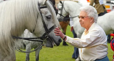 ‘Crowd Pleaser’ Horse Who Often Escorted Queen Elizabeth to Events Has Died