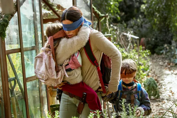 BirdBox