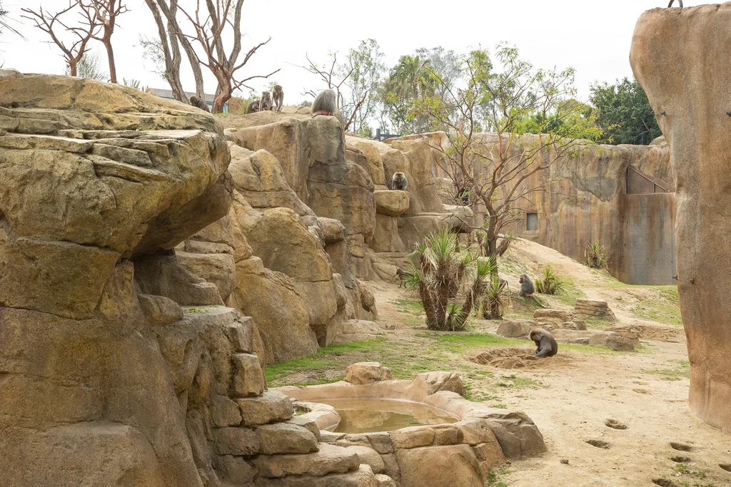 SanDiegoZoo