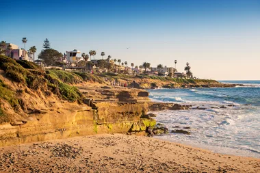 WHO Visits: San Diego