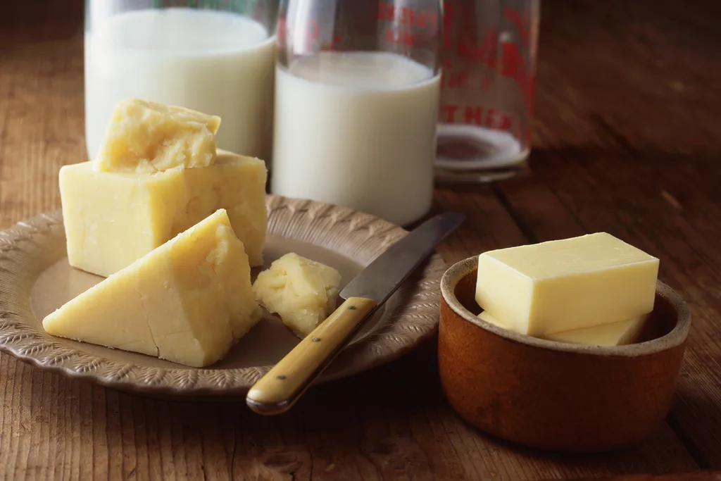 high fat dairy