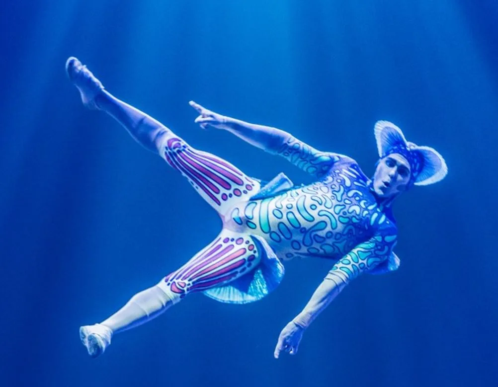 Cirque