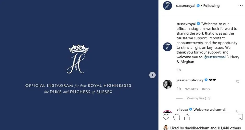 The Duke and Duchess of Sussex