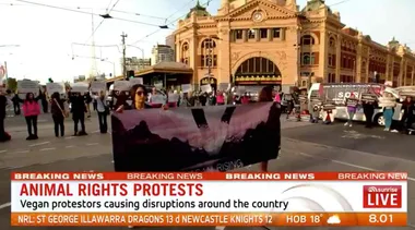 WATCH: Melbourne thrown into chaos by vegan protest
