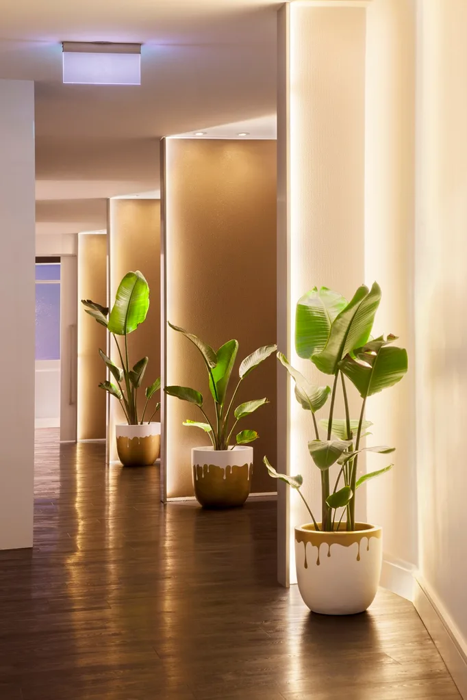 Botanica Spa