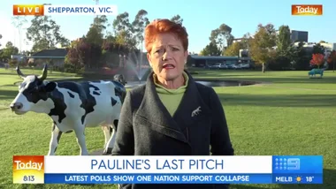 WATCH: Channel 9 accidentally releases embarrassing Pauline Hanson video