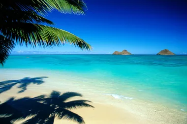 This is officially the best beach in the US!