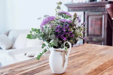 How To Use Indoor Plants To Bring Out The Charm Of Your Space