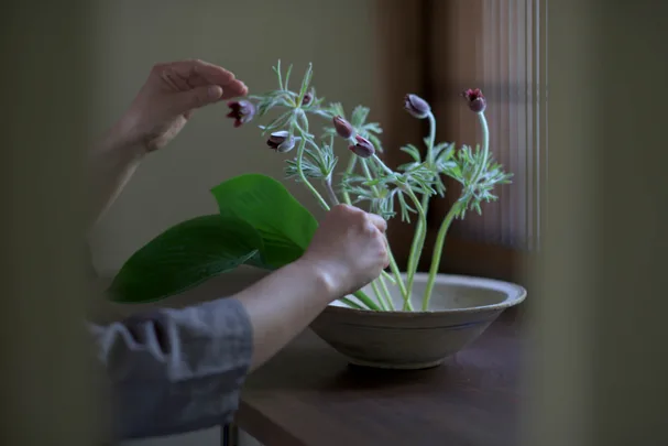 An intimate photo of a traditional Japanese Ikebana flower arrangement