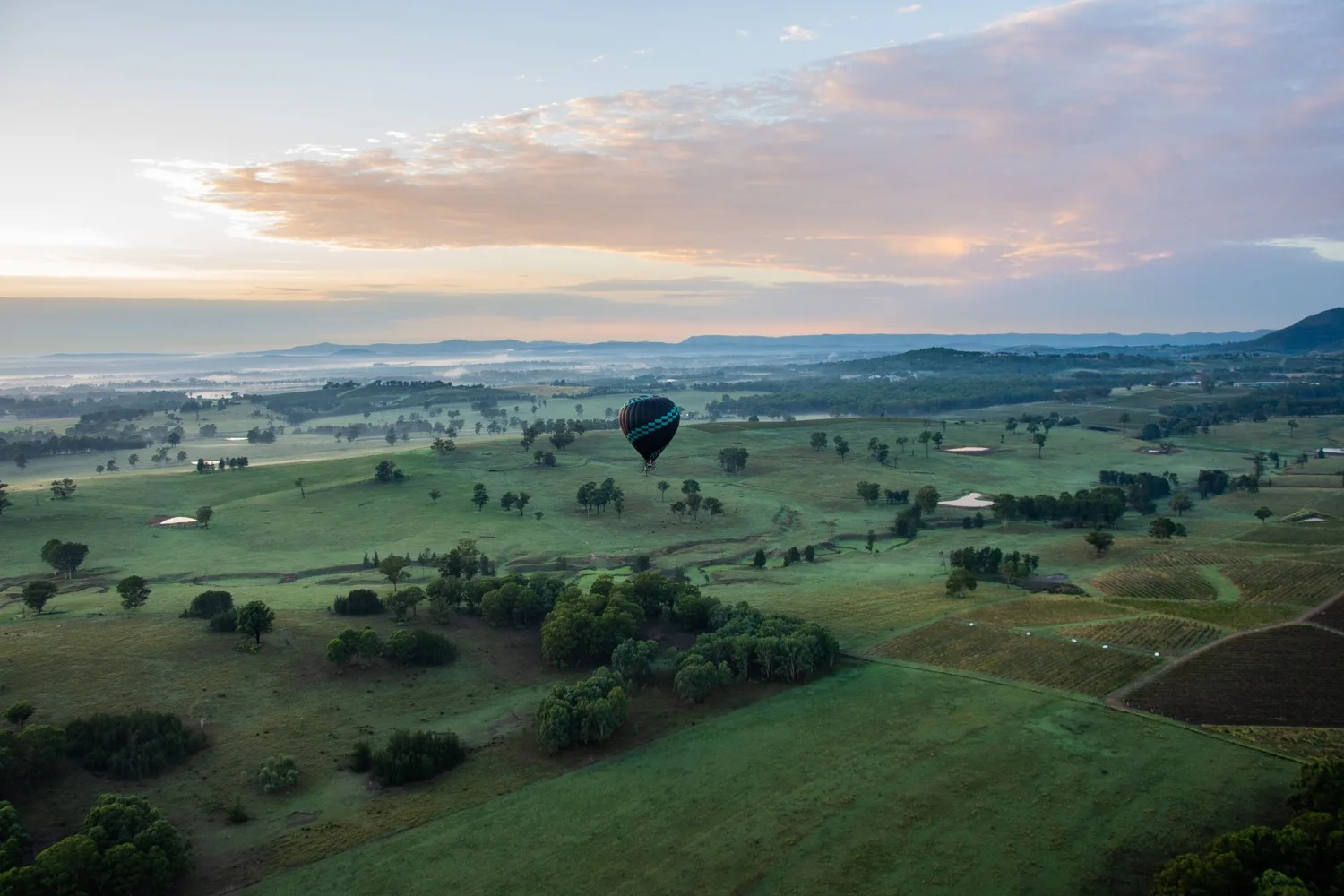 WHO Visits: Hunter Valley