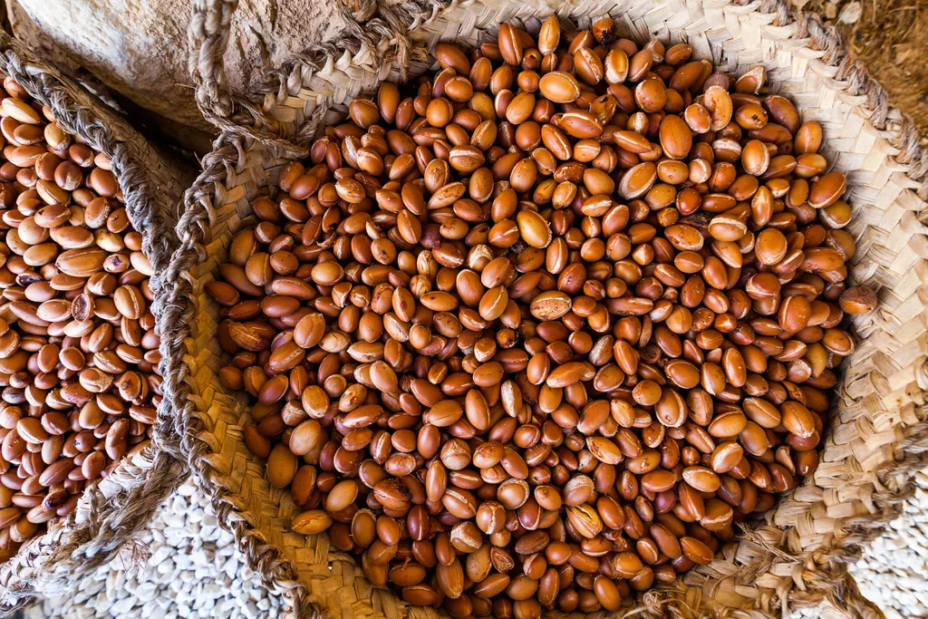 Argan oil nuts in a basket