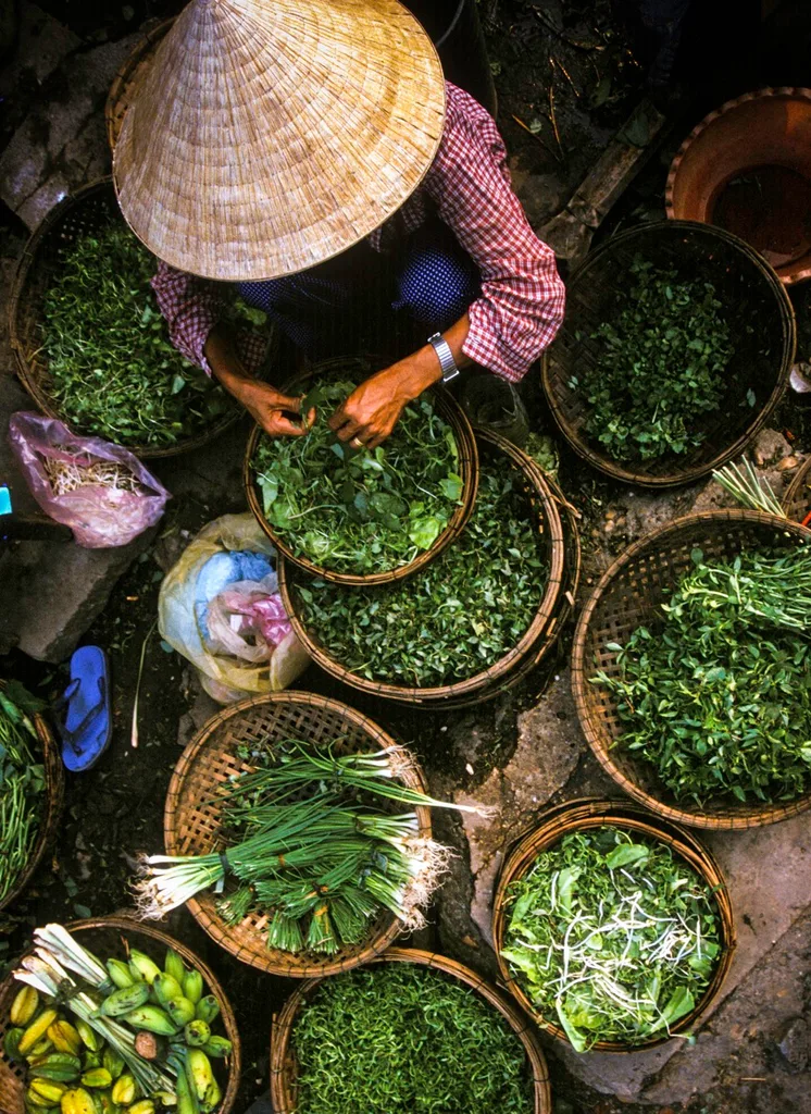 Conscious travel