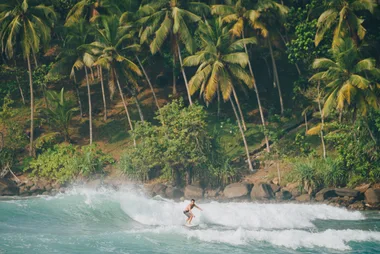 WHO goes surfing in Sri Lanka