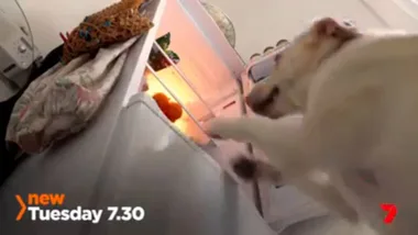 Channel 7 Facebook ad upload test