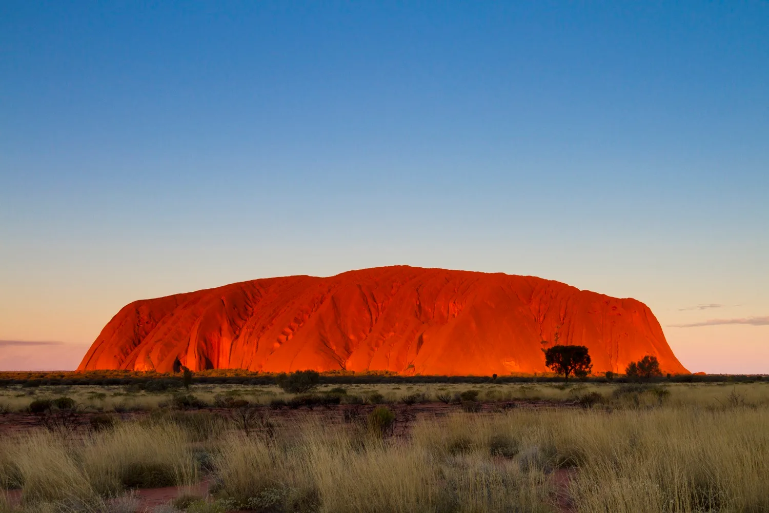 WHO visits: Uluru