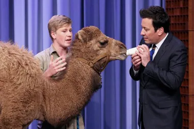 Robert Irwin incites PETA investigation for treatment of animals
