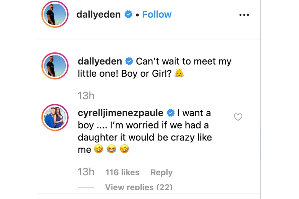 cyrelledeninstagramcomments
