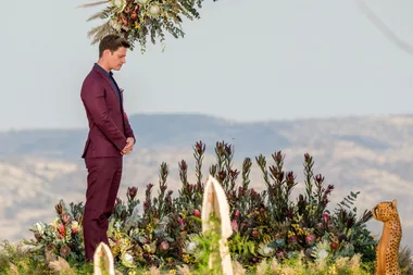 Matt Agnew releases official statement ahead of The Bachelor finale