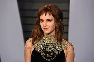 The Emma Watson Leaked Nude Photo Scandal