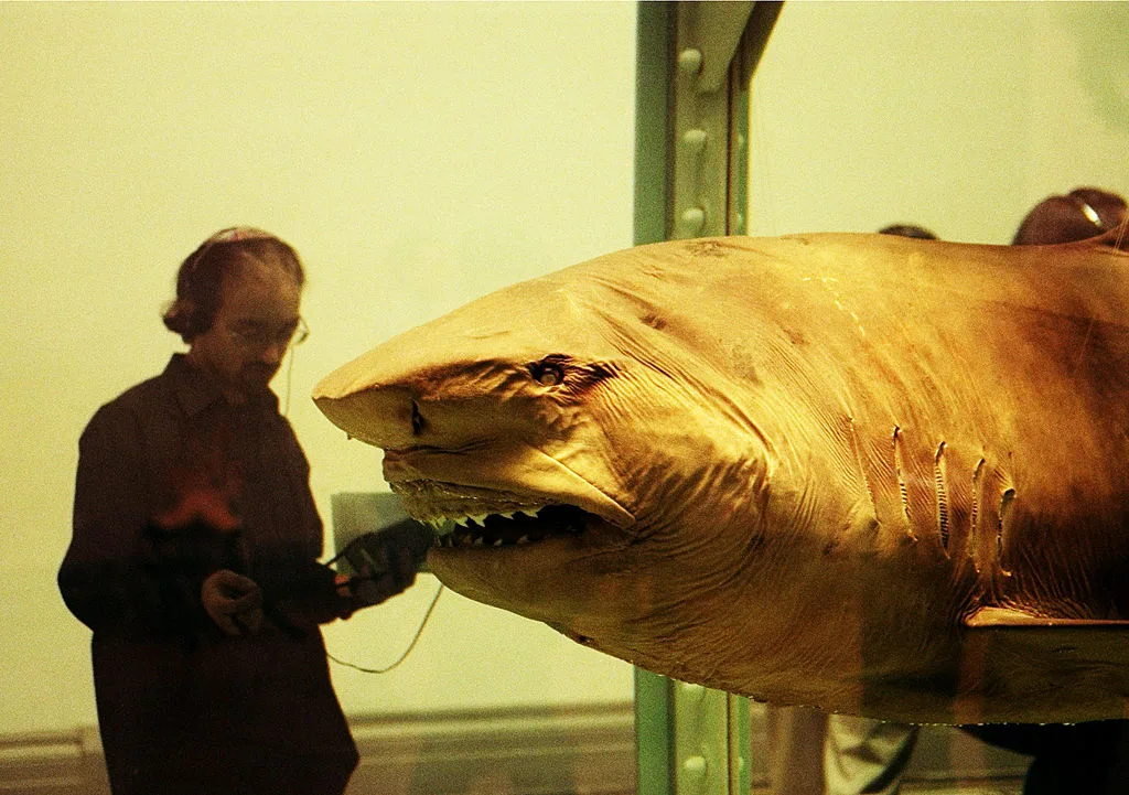 A piece of artwork by Damien Hirst called 'he Physical Impossibility of Death in the Mind of Someone Living
