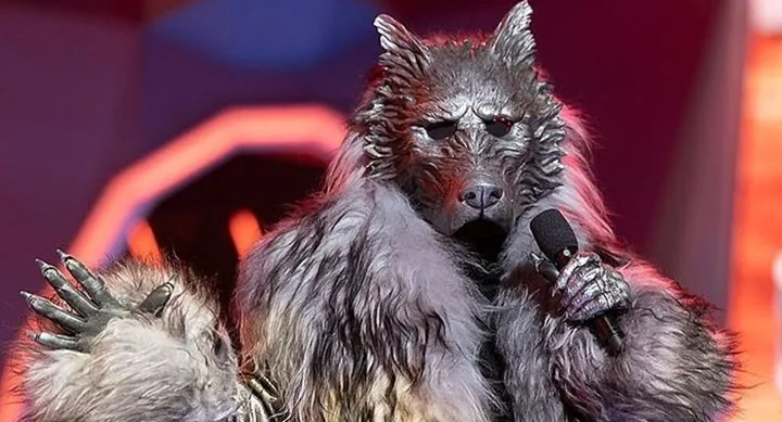 maske singer wolf