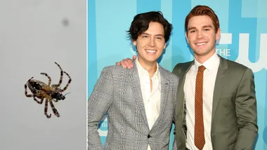 Cole Sprouse roasts KJ Apa for this spider video