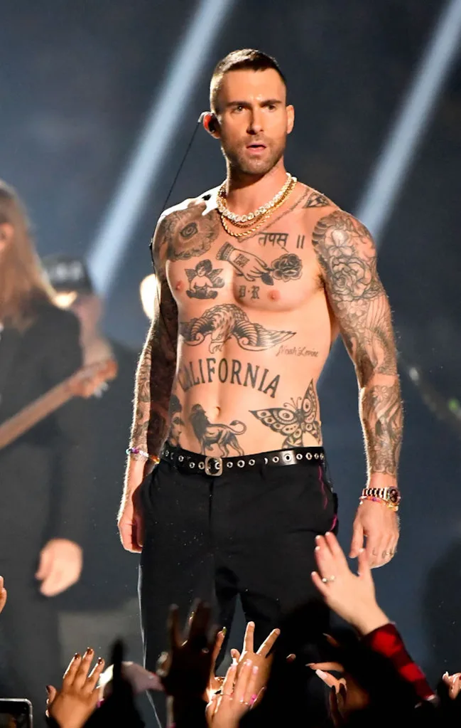 Adam levine pisces