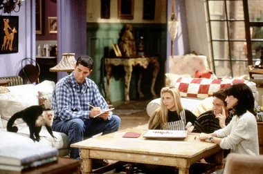 A still from the episode 'The One Where the Monkey Gets Away', TV show Friends,