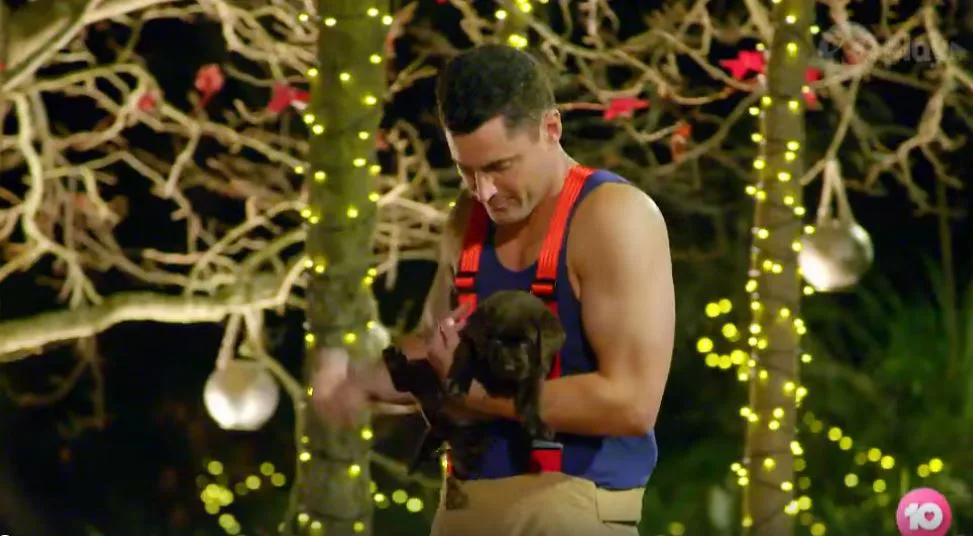 Fireman wins The Bachelorette Angie Kent's heart with a puppy